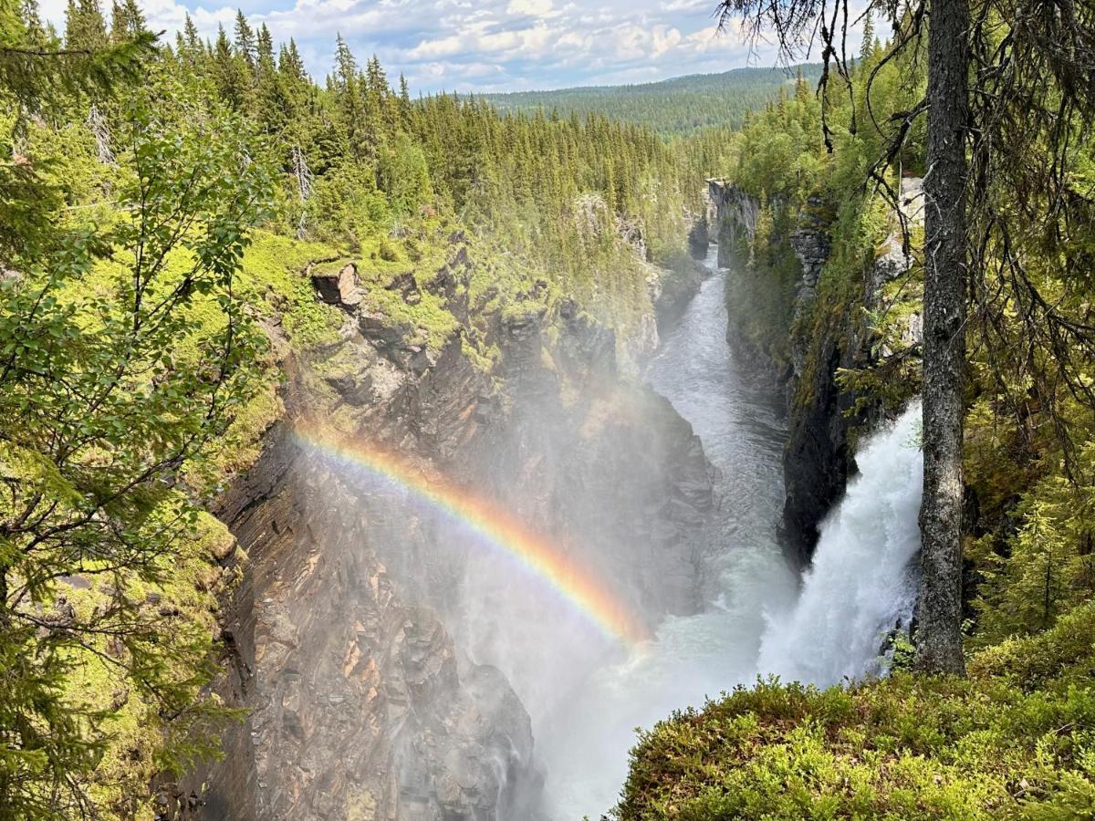 Vildmarksgard Lillviken Strömsund Exteriér fotografie